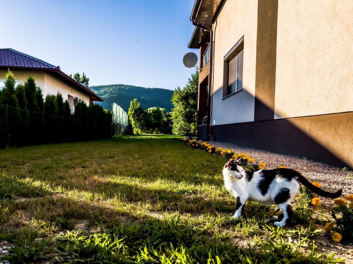 Villa Daman Bihac