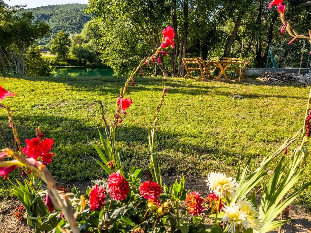 Daman Bihać